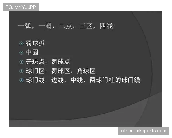 严重犯规的足球规则判罚标准与裁判执行细节解析